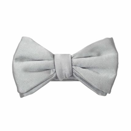 NOPBBSOIGRM001 noeud papillon business gris moyen face