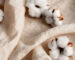 Couverture Blog00